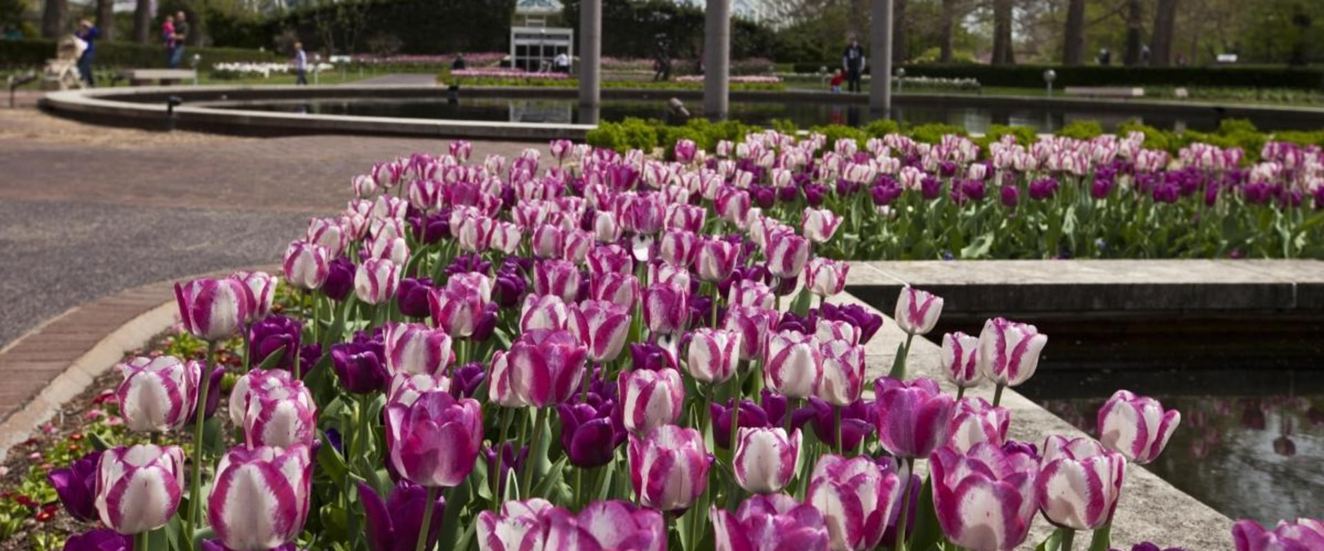 Exploring the Top Attractions in St. Louis, Missouri