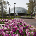 Exploring the Top Attractions in St. Louis, Missouri