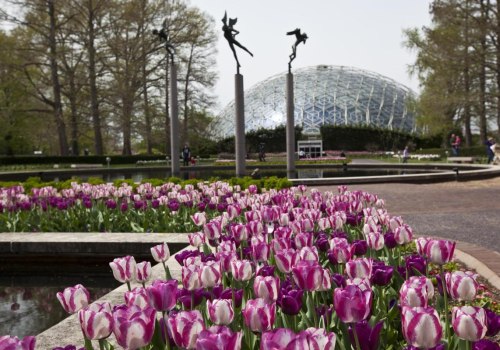 Exploring the Top Attractions in St. Louis, Missouri